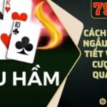 Cách Chơi Bài Ngầu Hầm Chi Tiết Và Bí Kíp Cược Hiệu Quả Nhất